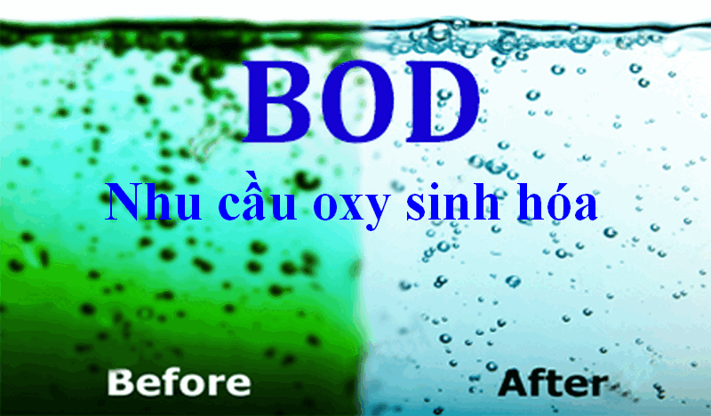 BOD trong nước thải