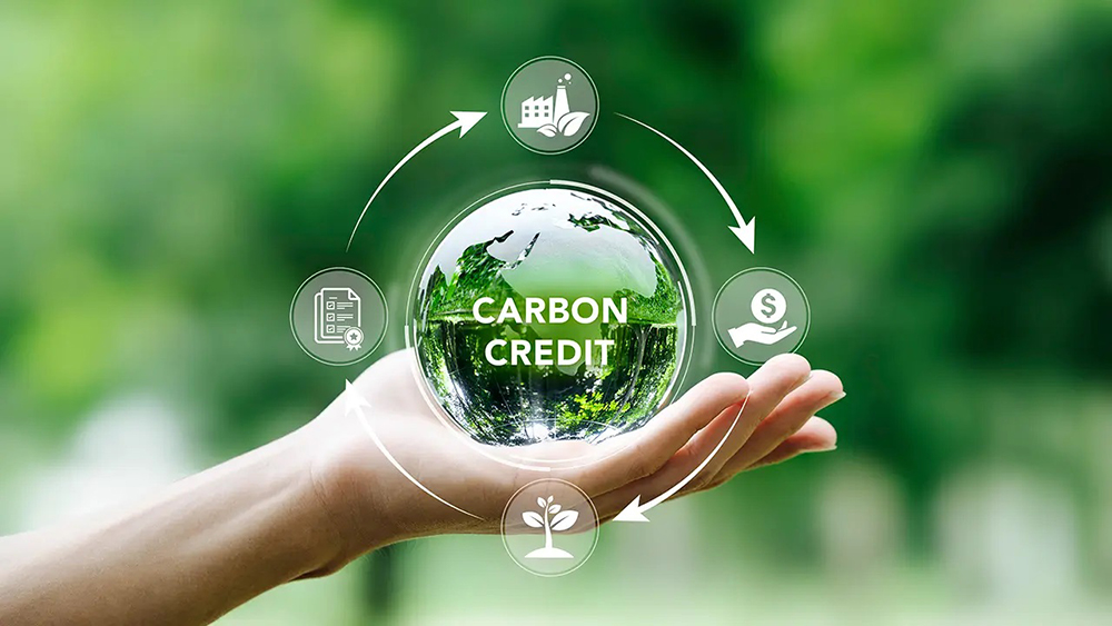 Carbon credit là gì