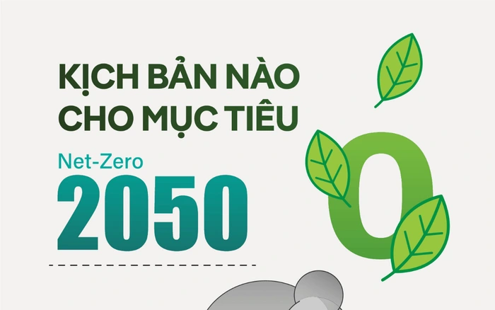 Net Zero là gì