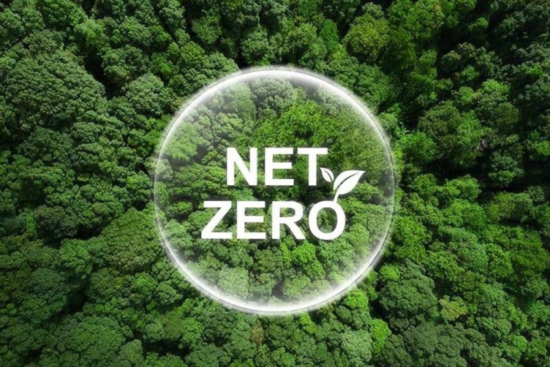 Net Zero là gì?